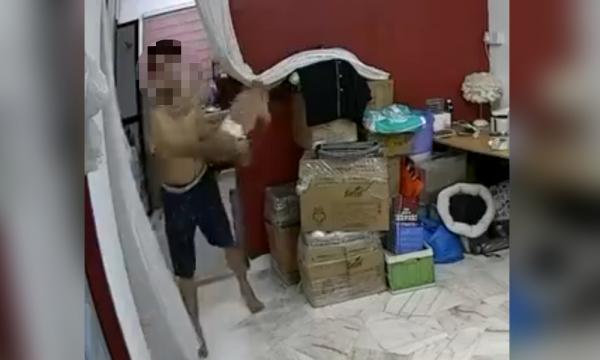 SNAPSHOT | Vet Dept tracking down dog abuse suspect; Yeo rallies behind Wong over pig farming issue What's going on in the news today, with updates at 9am, 2pm, 6pm, and 9pm. Malaysiakini Team 9 h ago ⋅ 19