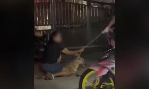 Bekas MP gesa siasatan ‘pembunuhan kejam’ Rocky