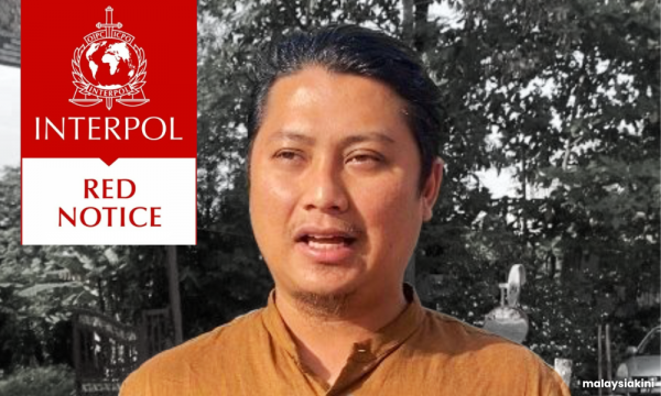 Tamim case: 'Interpol shouldn't be burdened just because some feel offended'