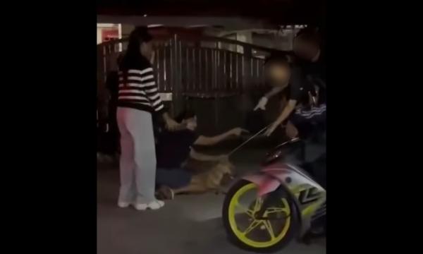 Ex-Klang MP calls for probe into 'brutal killing' of stray dog during council operation