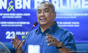 Cops to summon Sanusi, Rembau Umno man over N Sembilan campaign remarks 