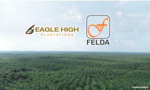 M'sia seeks Indonesia's help over Felda deal that could cause RM2.5b loss