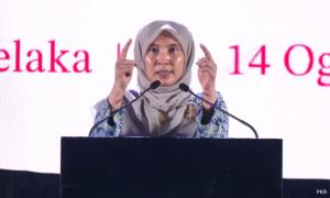 Nurul Izzah details dreams of a PKR immune to factions and 'hidden hands' 