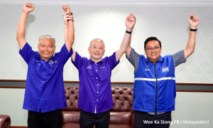 马华夺取行动党两席，时隔13年后重返森议会