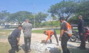 Quran copies found burnt in field, police launch probe