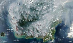 Indonesia steps up Kalimantan firefighting as haze worsens